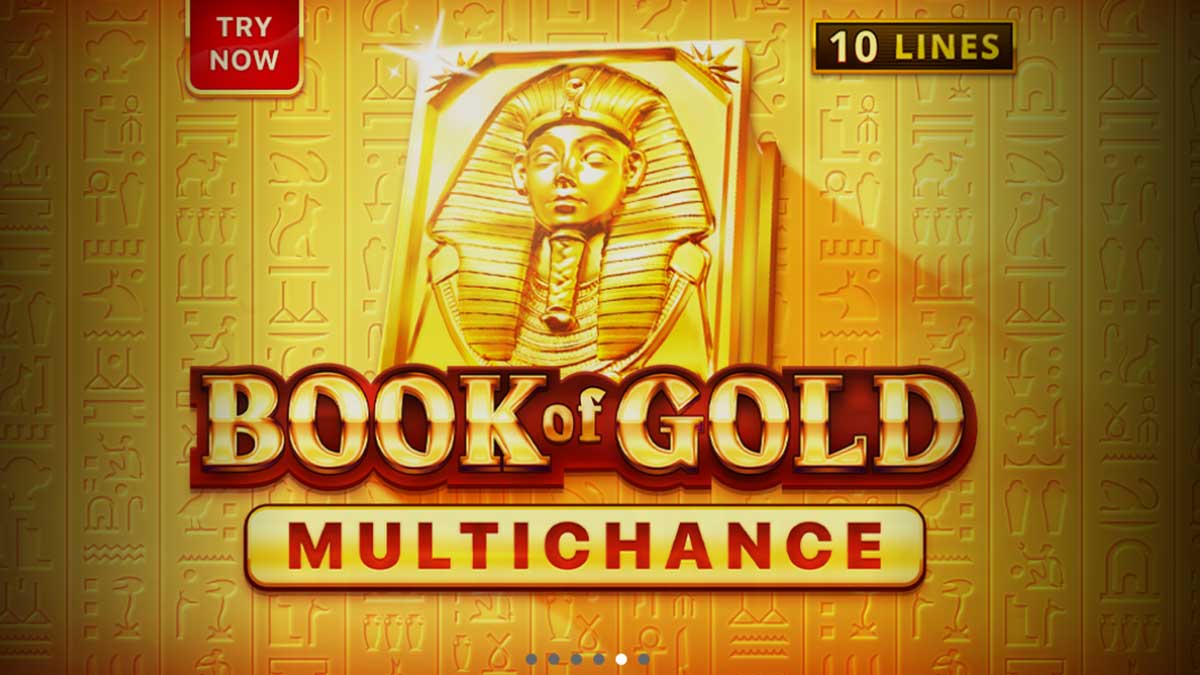 Book of Gold slot game by Playson