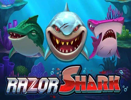 razor shark pokie