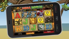 Mega Moolah game mobile example