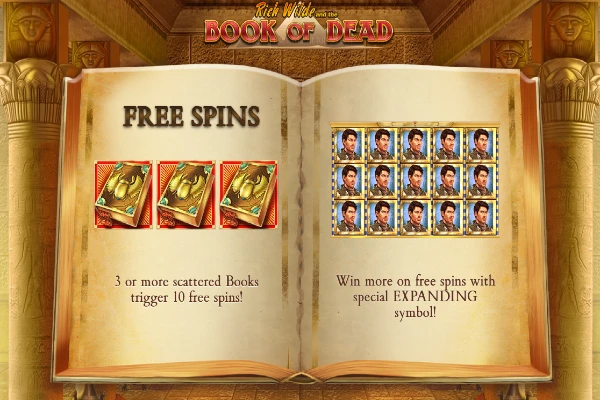 book of dead free spins